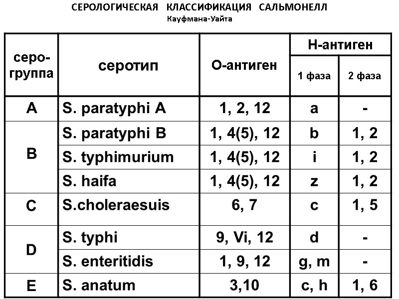 СЕРОЛОГИЧЕСКАЯ   КЛАССИФИКАЦИЯ  САЛЬМОНЕЛЛ   Кауфмана-Уайта